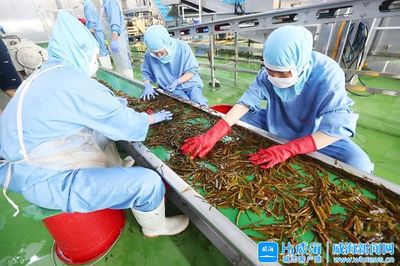 聚焦精致城市 点赞幸福威海