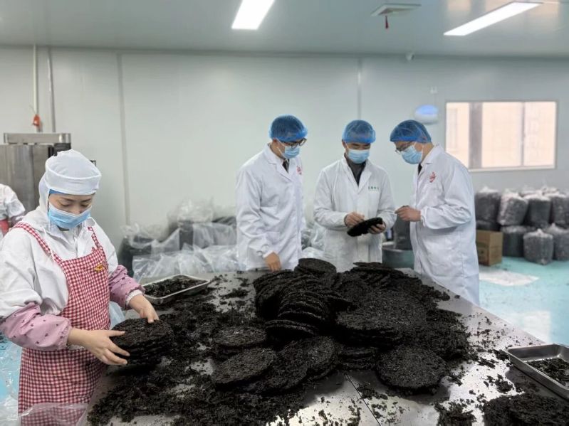 "中国紫菜之乡"产品首次供港 开启共富新篇章
