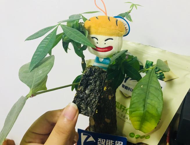 喵趣夹心海苔脆_智能界